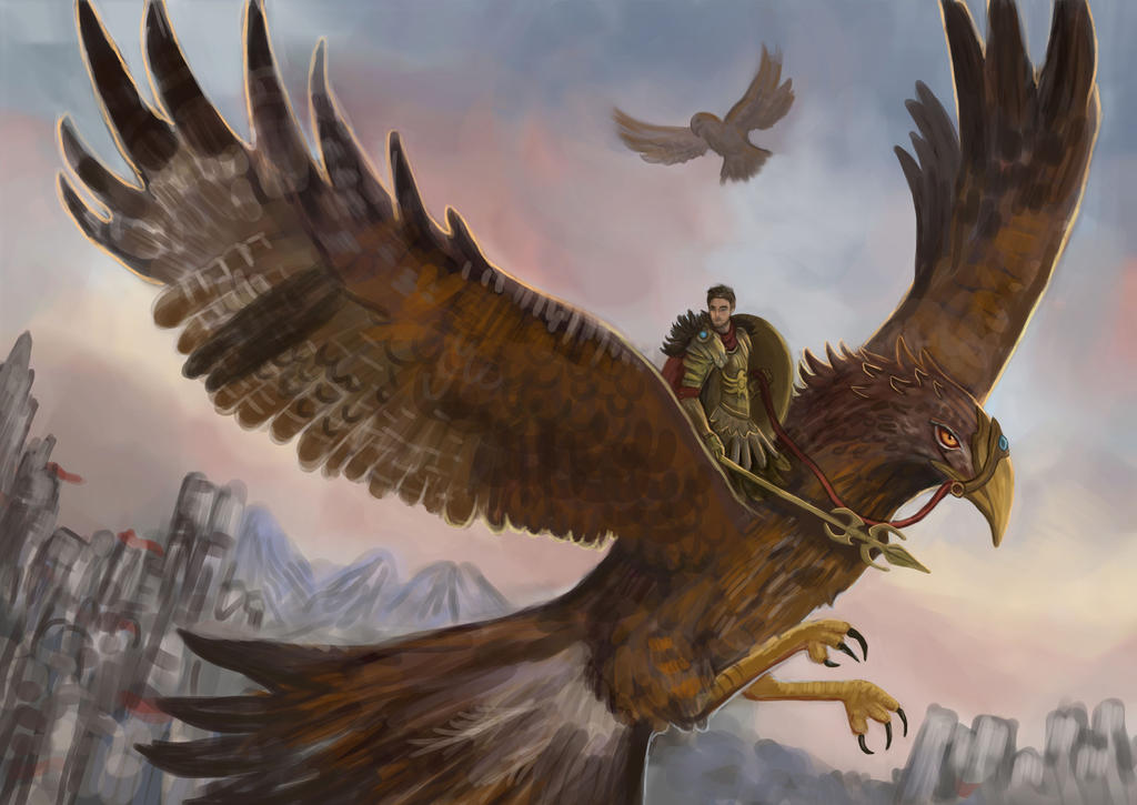 Hawk Rider by Cinder-Cat on DeviantArt