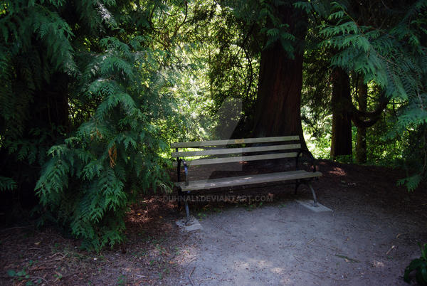 shady bench by Duhnali on DeviantArt