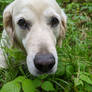 'How much longer am I supposed to look innocent?'