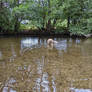 'Nice, these strange wave movements on the water'