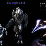 Halo Reach: Sangheili