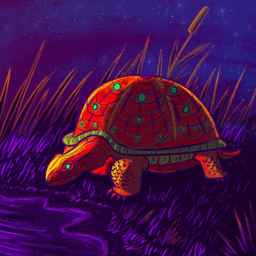 Deviantart Softshell Turtle Turtle by PurpleDragonFury on DeviantArt
