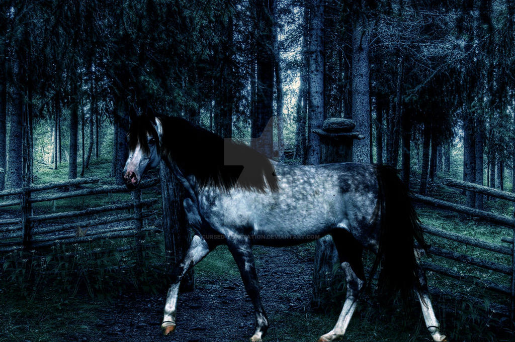 The Forest Mistress by CursedTemptation on DeviantArt