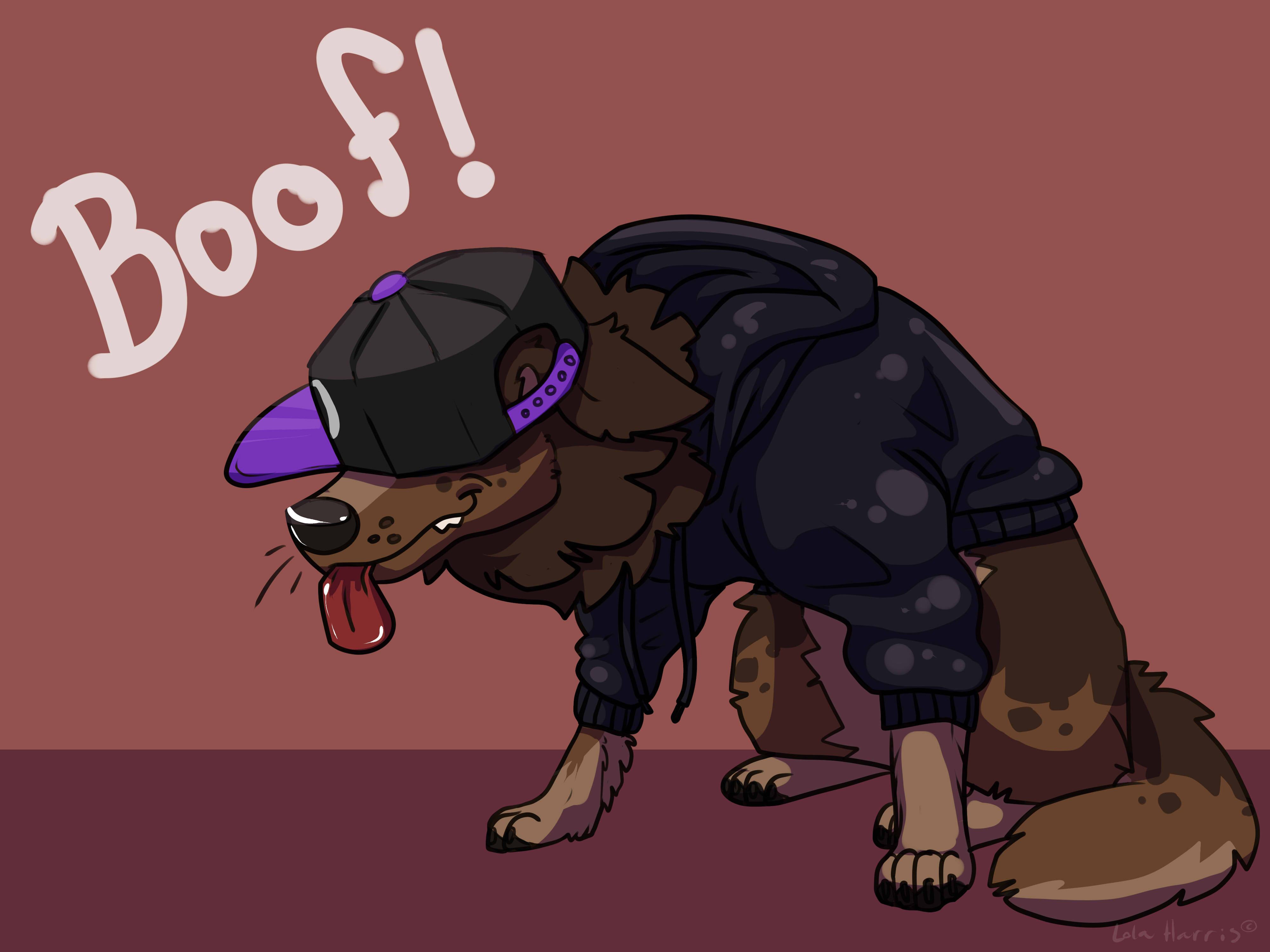 Boof