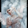 Angel in Winter