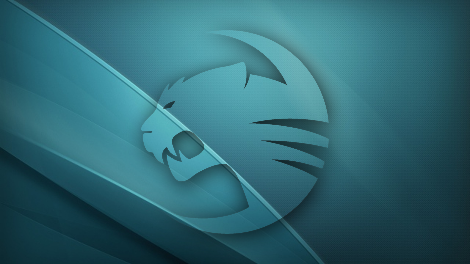 Roccat Wallpaper