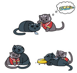 How many fish you got