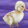 Duckling|Painting