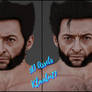 Wolverine Days of Future Past 3D MODEL FREE