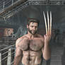 wolverine