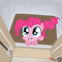 Pinkie at Your Door