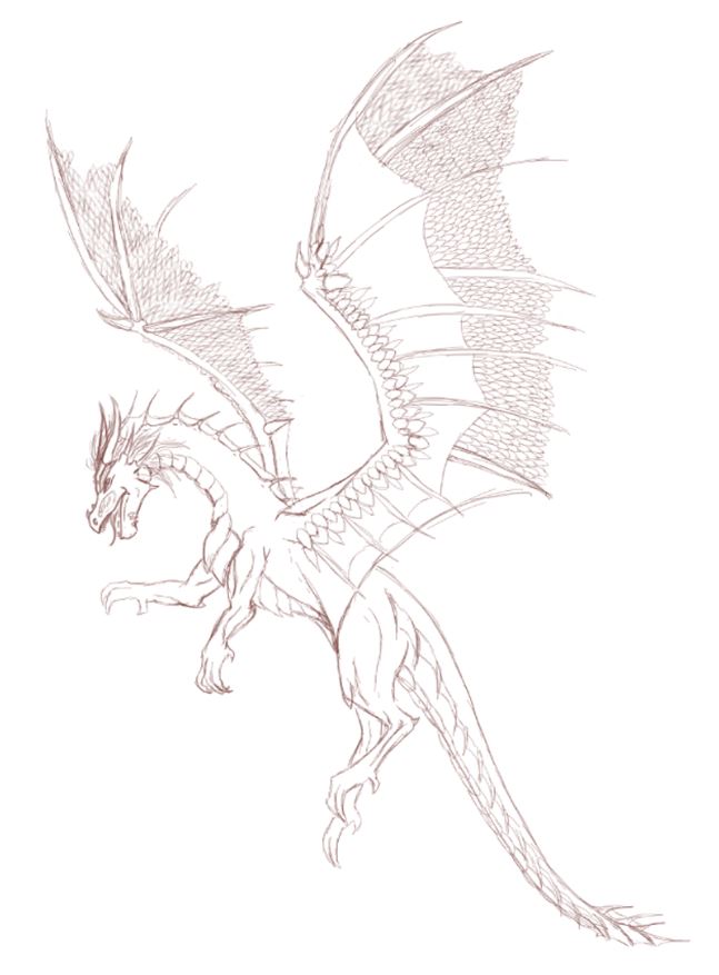 DP-Dragon sketch side 1