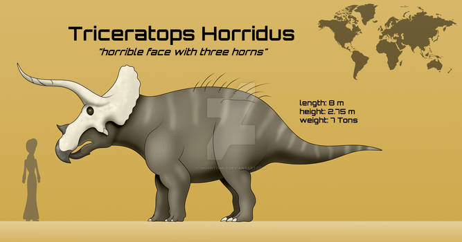 Triceratops Horridus Chart