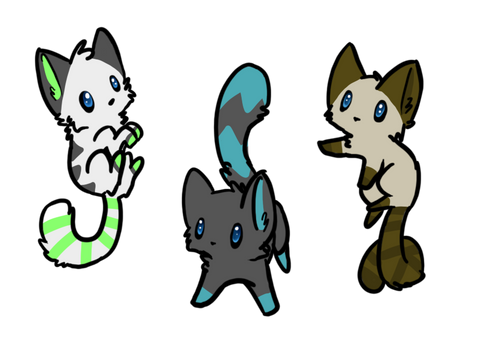 Adopts 2 close