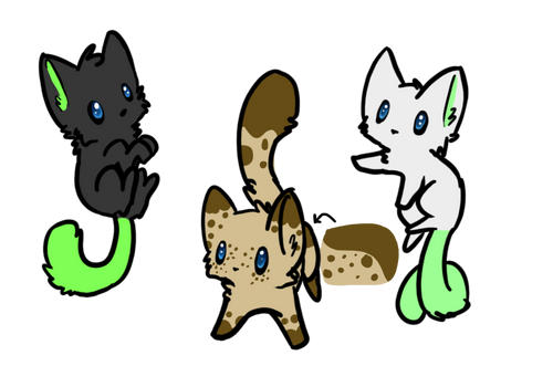 Adopts 4 Open