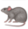 Rat Emoji