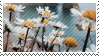 daisy stamp