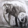 Charcoal elephants