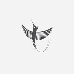 Doctor Bird Logo