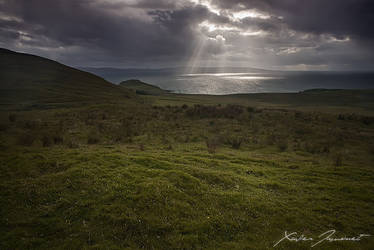 Camusmore light