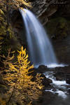 Gold waterfall by XavierJamonet