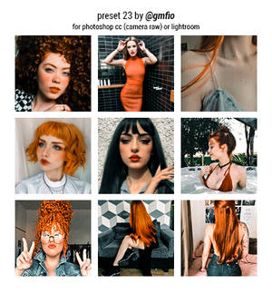 gmf23 preset [for photoshop cc and lightroom]