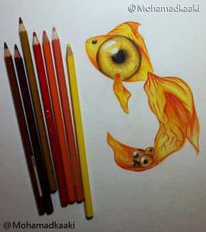 Fishy Eye