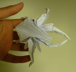 Origami Insect