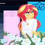 Sunset Shimmer Candy