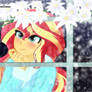 Sunset Shimmer Candy 2