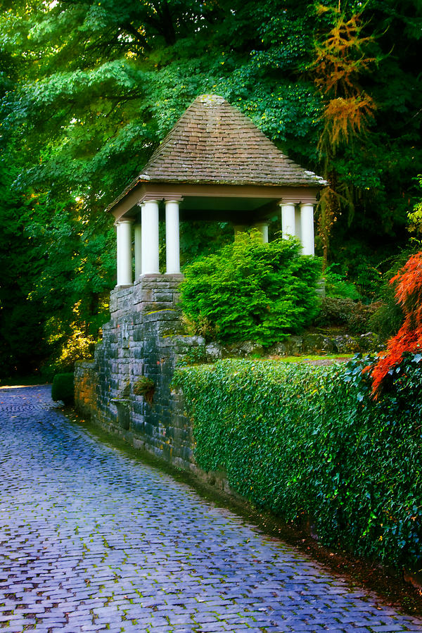 Forest Temple