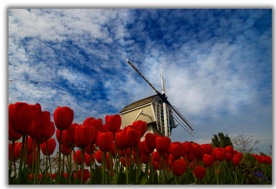 Windmill