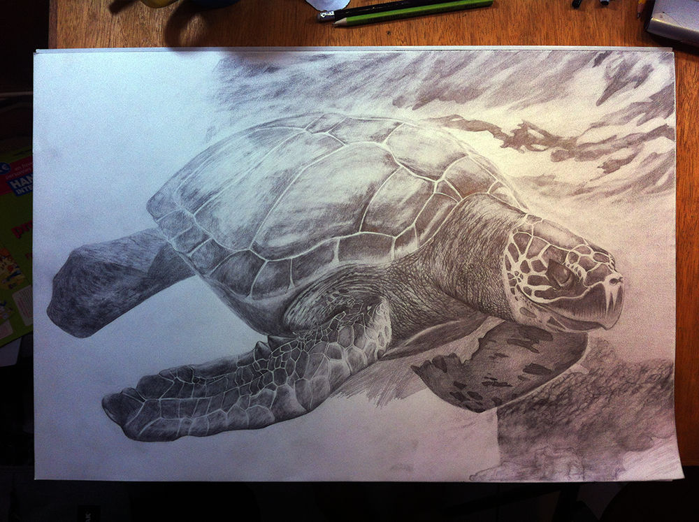 My turtle :) Work in progress by zen-emma