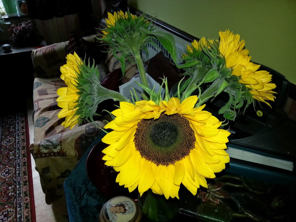 Sunflowers