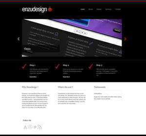 Enzudesign 2011