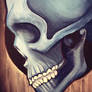 acrylic skull