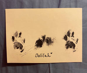 DDs paw prints