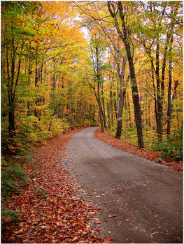 Fall Trails