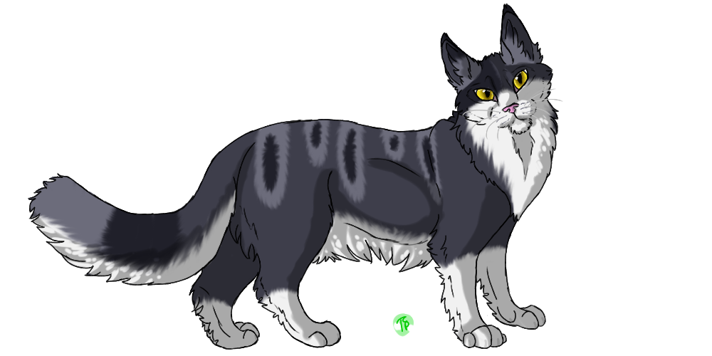 Indigopaw