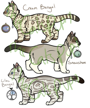 Cat Adoptables 10 [Closed]