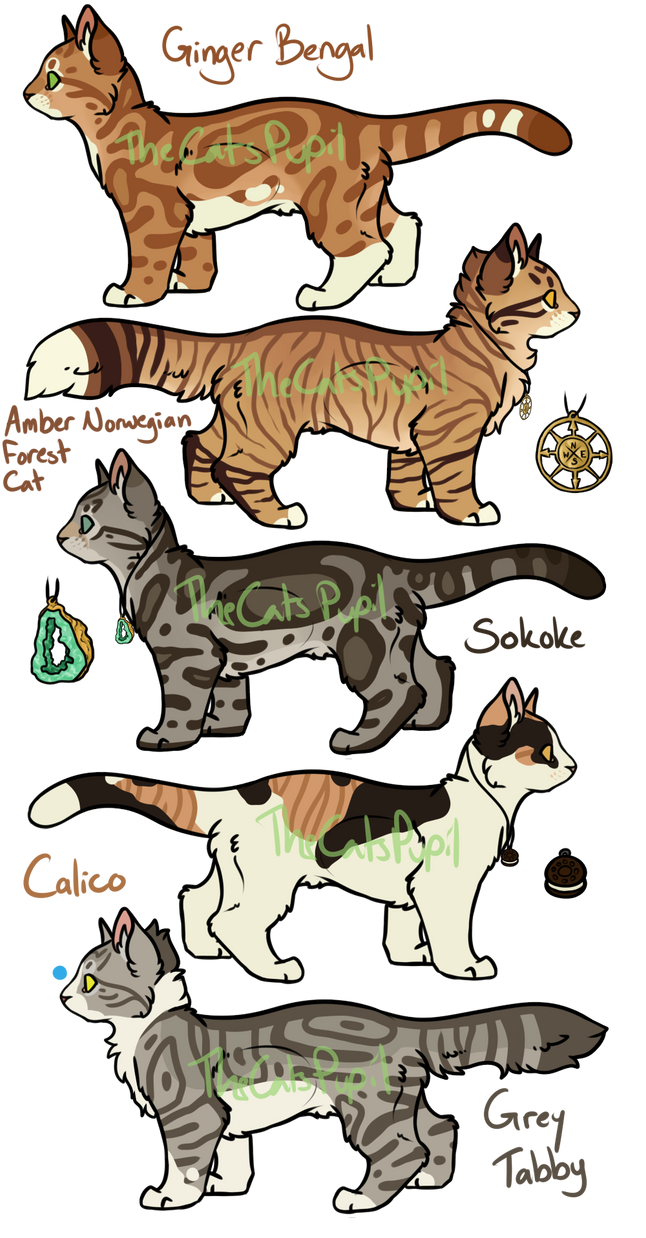 Cat Color Custom Custom Designs by TheCatsPupil on DeviantArt