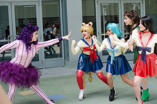 Sailor scouts VS Catsy