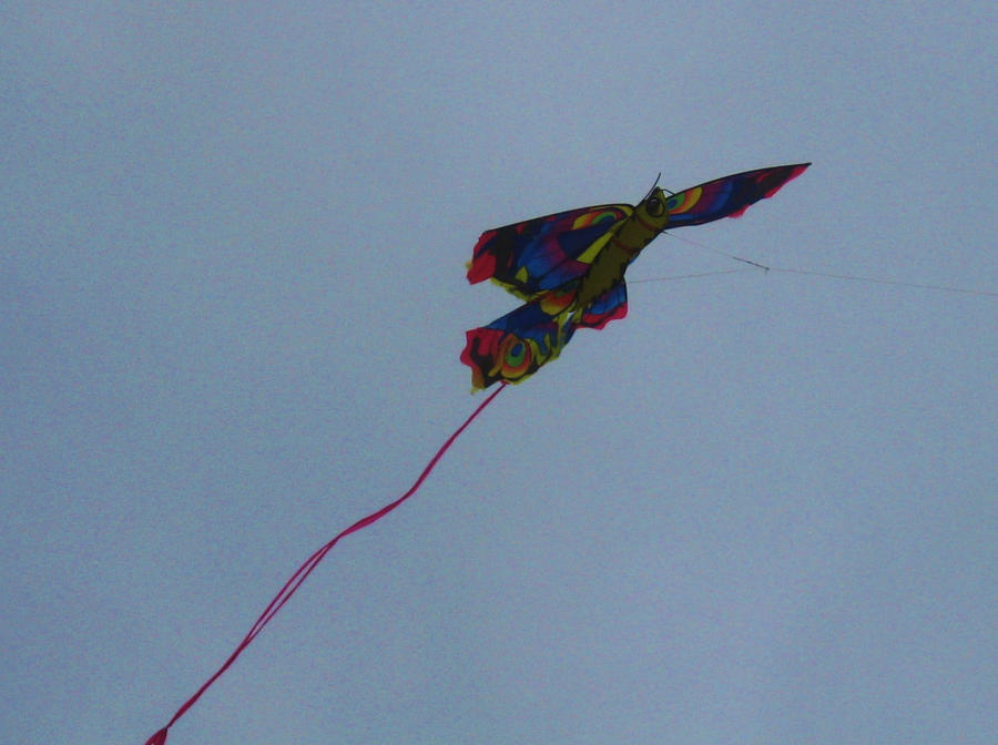 Flying Insect Kite in the Air by TMConroyVisualWorks on DeviantArt
