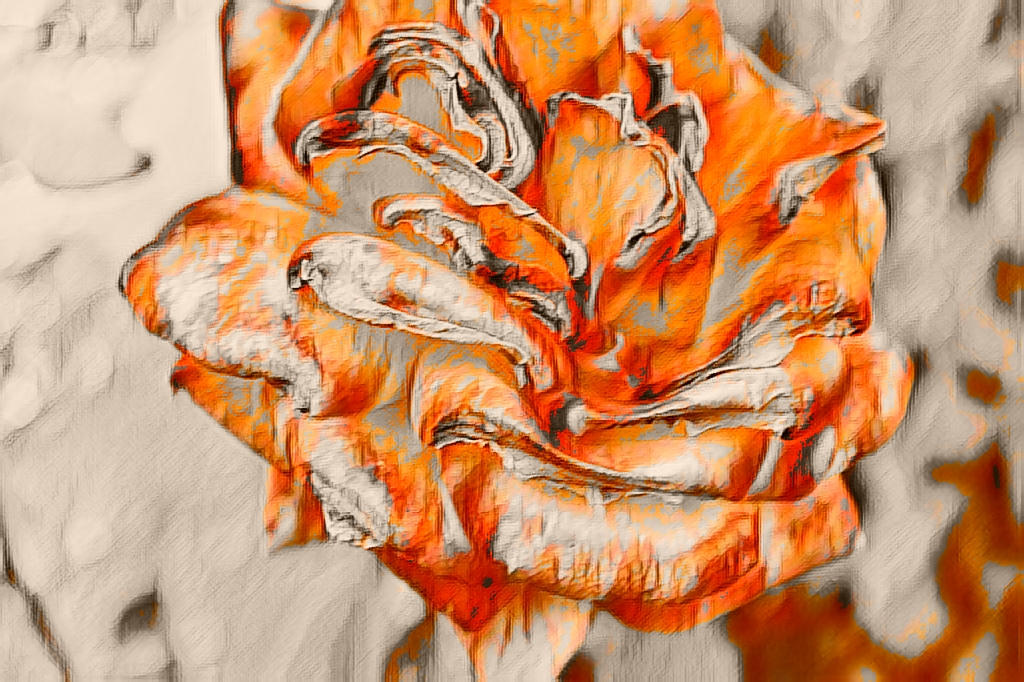 Rose Alt Altered Rose by TMConroyVisualWorks on DeviantArt