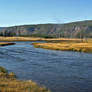 Yellowstone