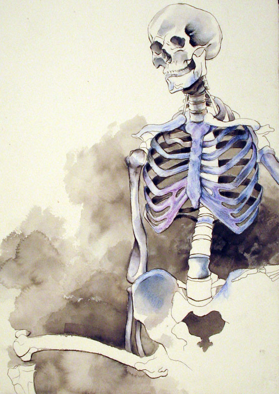 Skeleton