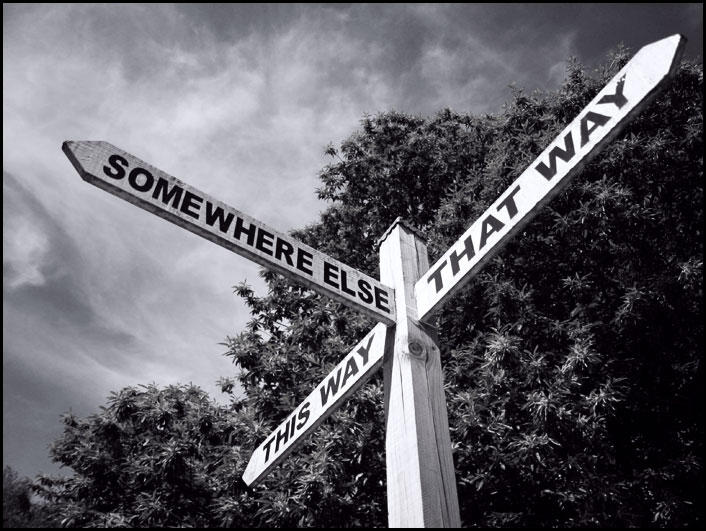 Which way? by tabascoterrier on DeviantArt