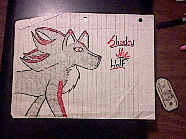 Shadow's a Wolf nao. XD