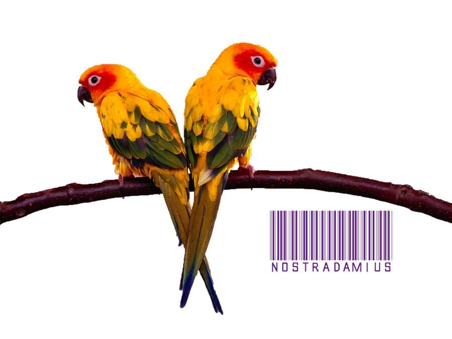 Render Pericos by kamikazeinferno on DeviantArt