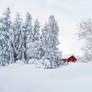 Winter wonderland - Buffalo style!